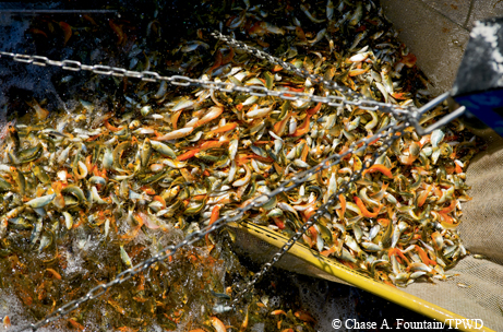Fish hatchery